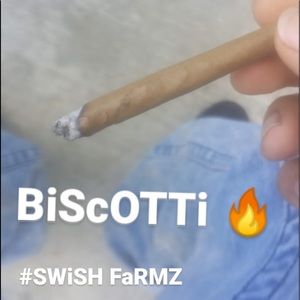 Meet your Posher, Jose